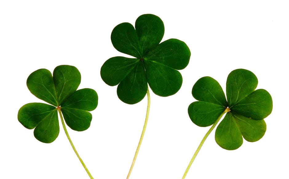 Lucky St. Patrick's Day Tips